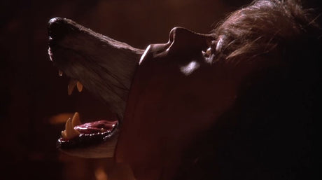 Werewolves! - Orbit DVD