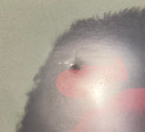 The Eel (US Limited Edition) USED