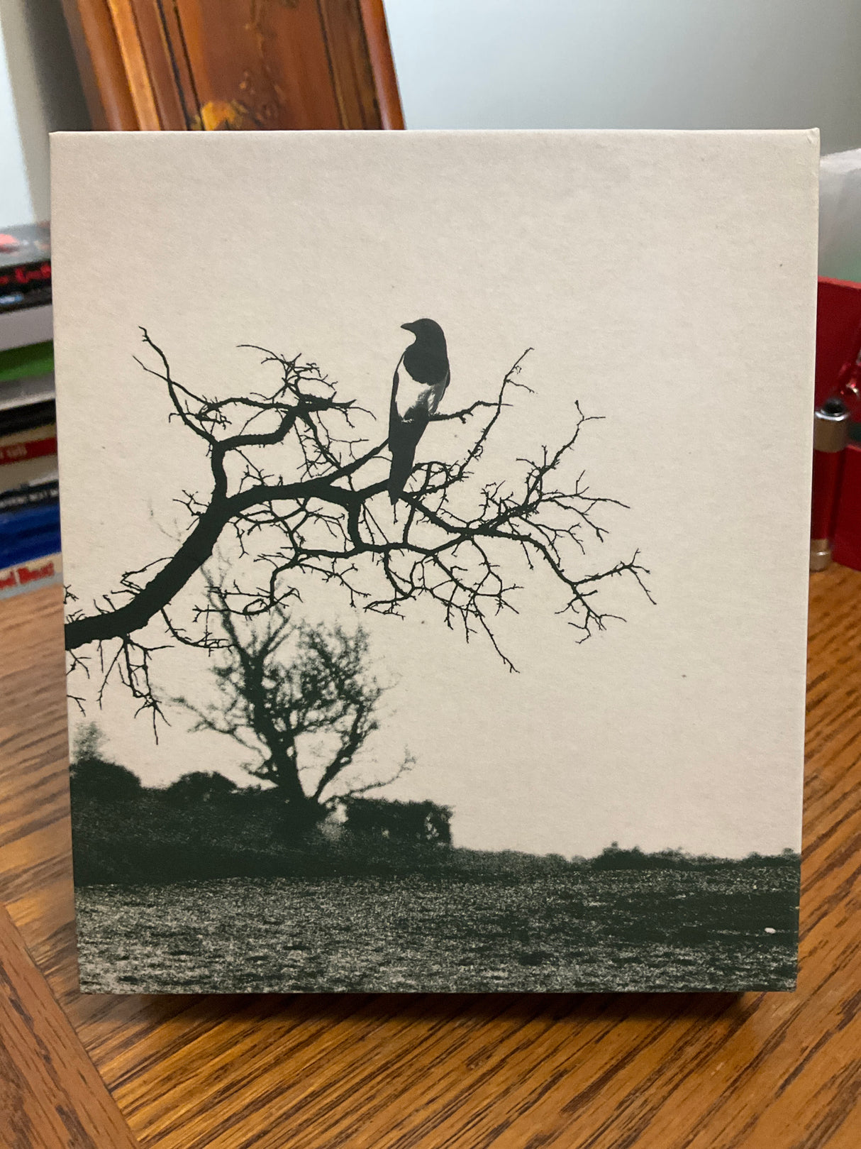 All the Haunts Be Ours USED