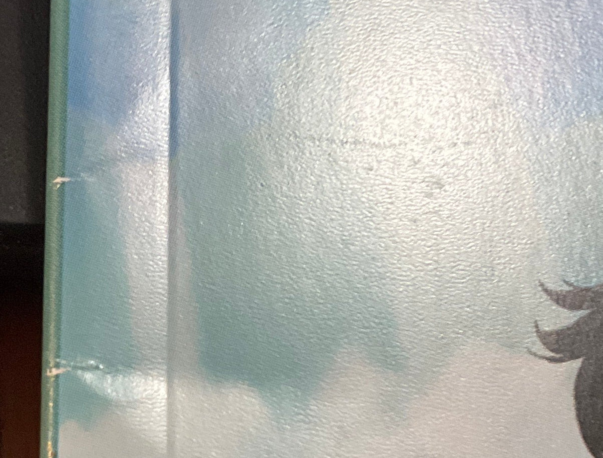 Wolf Children w/SLIP AND BOOKLET USED