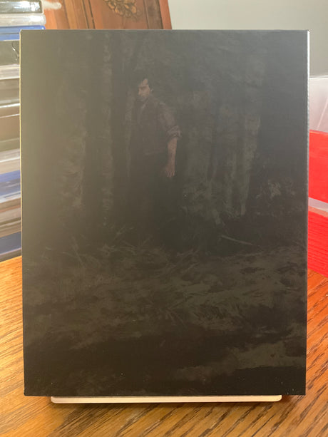 The Golden Fern (Deluxe Limited Edition) USED