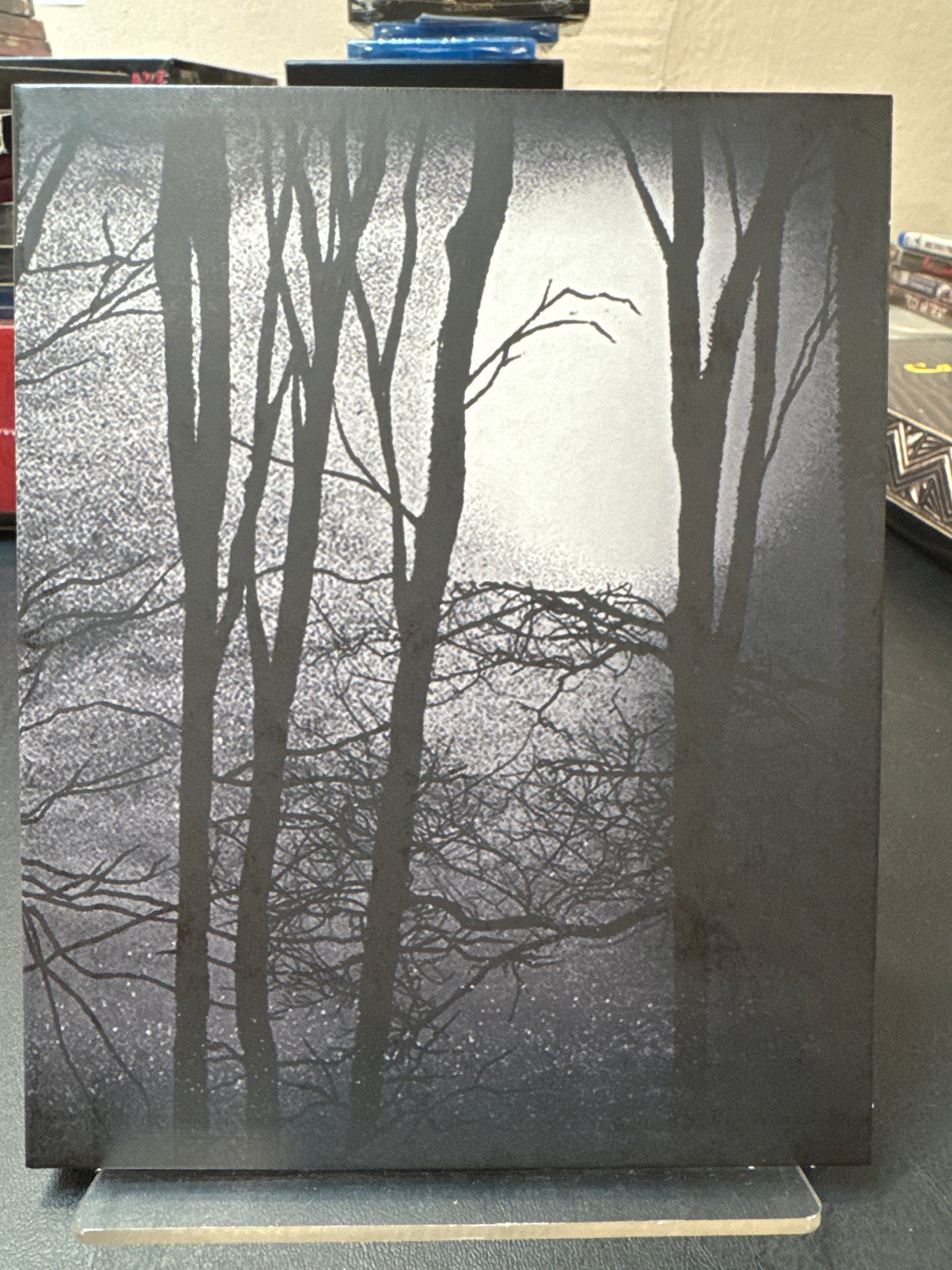 The Blair Witch Project (Limited Edition, Region B) USED