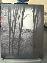 The Blair Witch Project (Limited Edition, Region B) USED