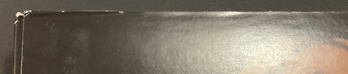 Cannibal Hookers (2019)/Hooker with a Hacksaw w/SLIP USED