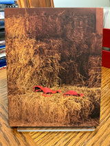 Summer Camp Girls w/SLIP USED