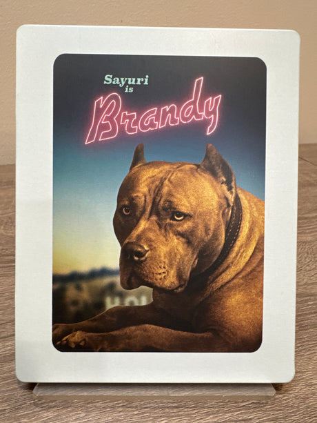 Once Upon a Time in... Hollywood (4K UHD, Steelbook) USED