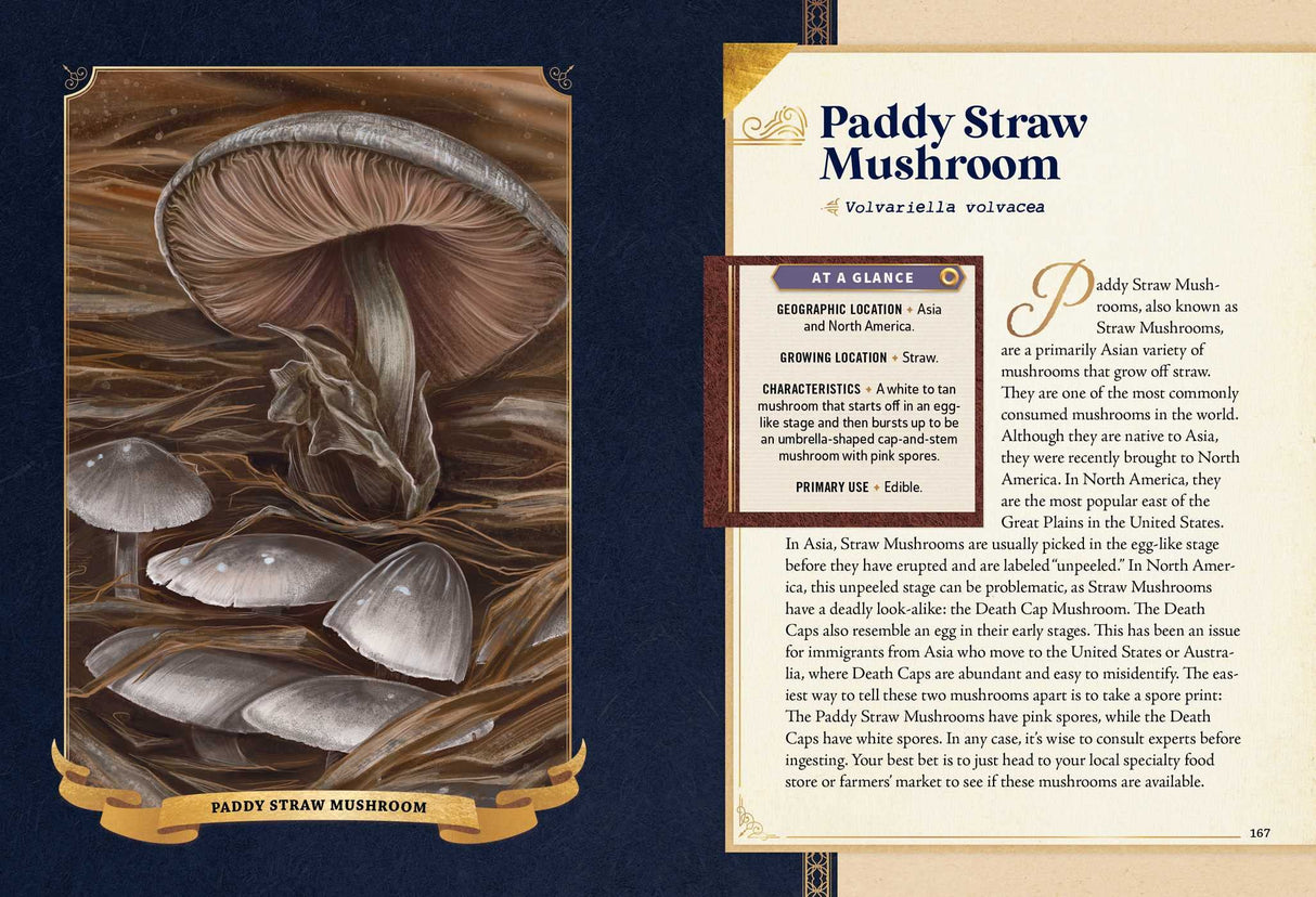 The Little Book of Mushrooms