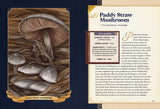 The Little Book of Mushrooms