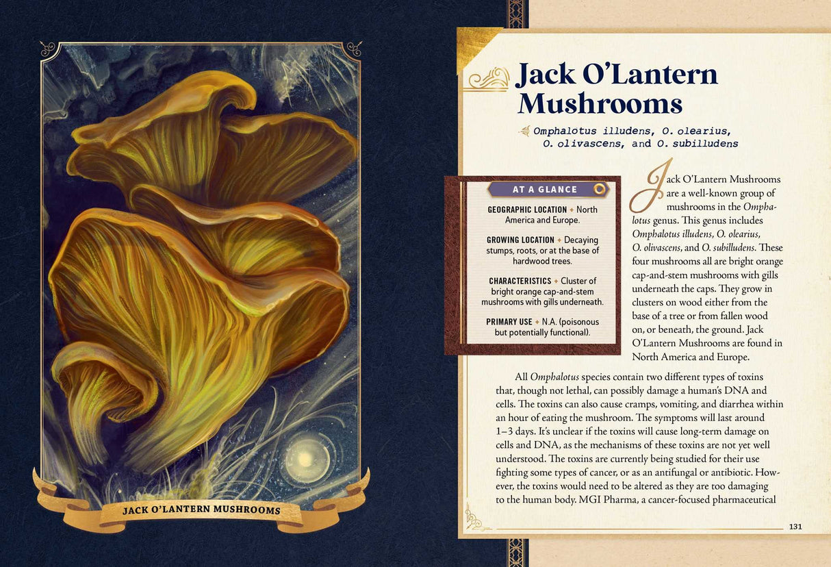 The Little Book of Mushrooms
