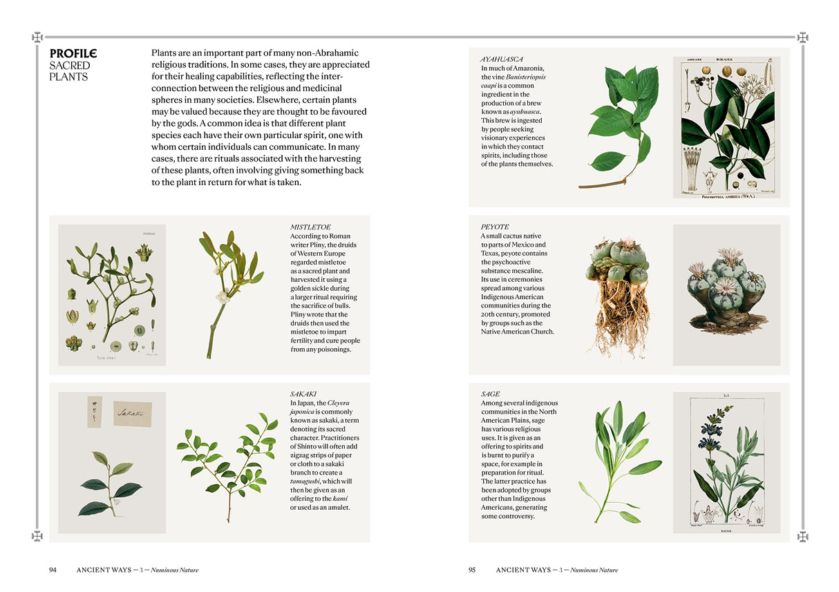 Pagans: The Visual Culture of Pagan Myths, Legends and Rituals