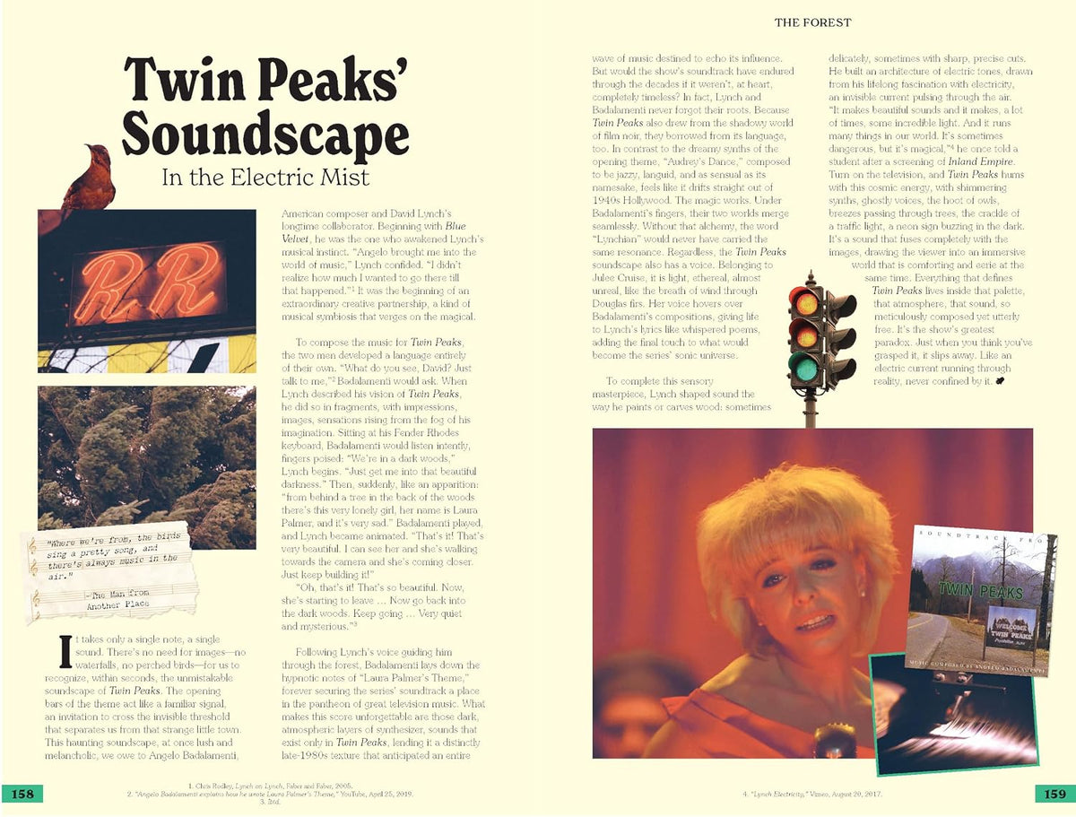 The Mysteries of Twin Peaks (Book, HC)