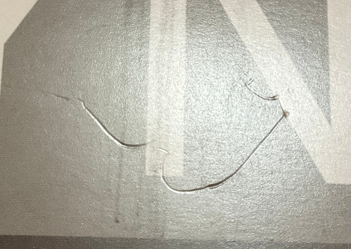 The Short Films of David Lynch (DVD) USED