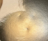 All Ladies Do It (Region B) USED w/booklet *SEE NOTE*