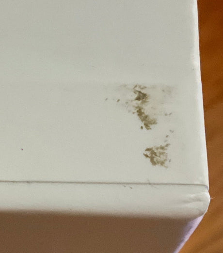 Belle (4K UHD, Limited Deluxe Edition, Region Free/B) USED