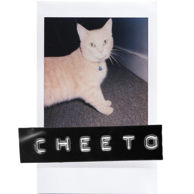 Cheeto