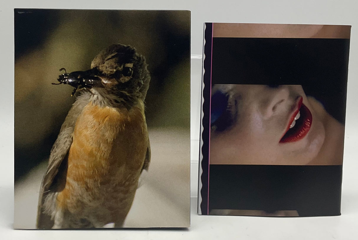 Blue Velvet (4K UHD, #977) USED