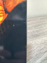 Mad God (Steelbook) USED