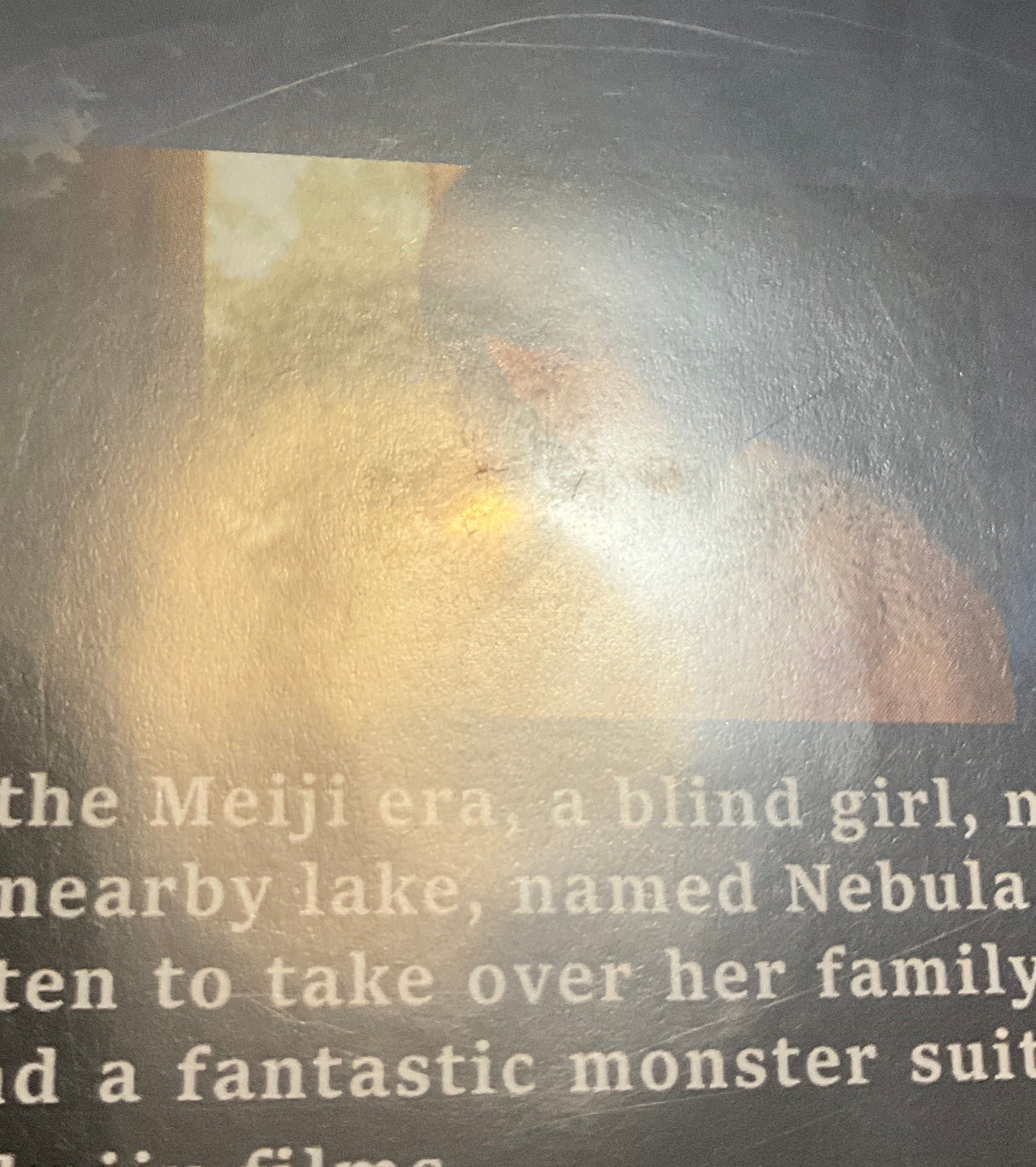 Howl from Beyond the Fog USED