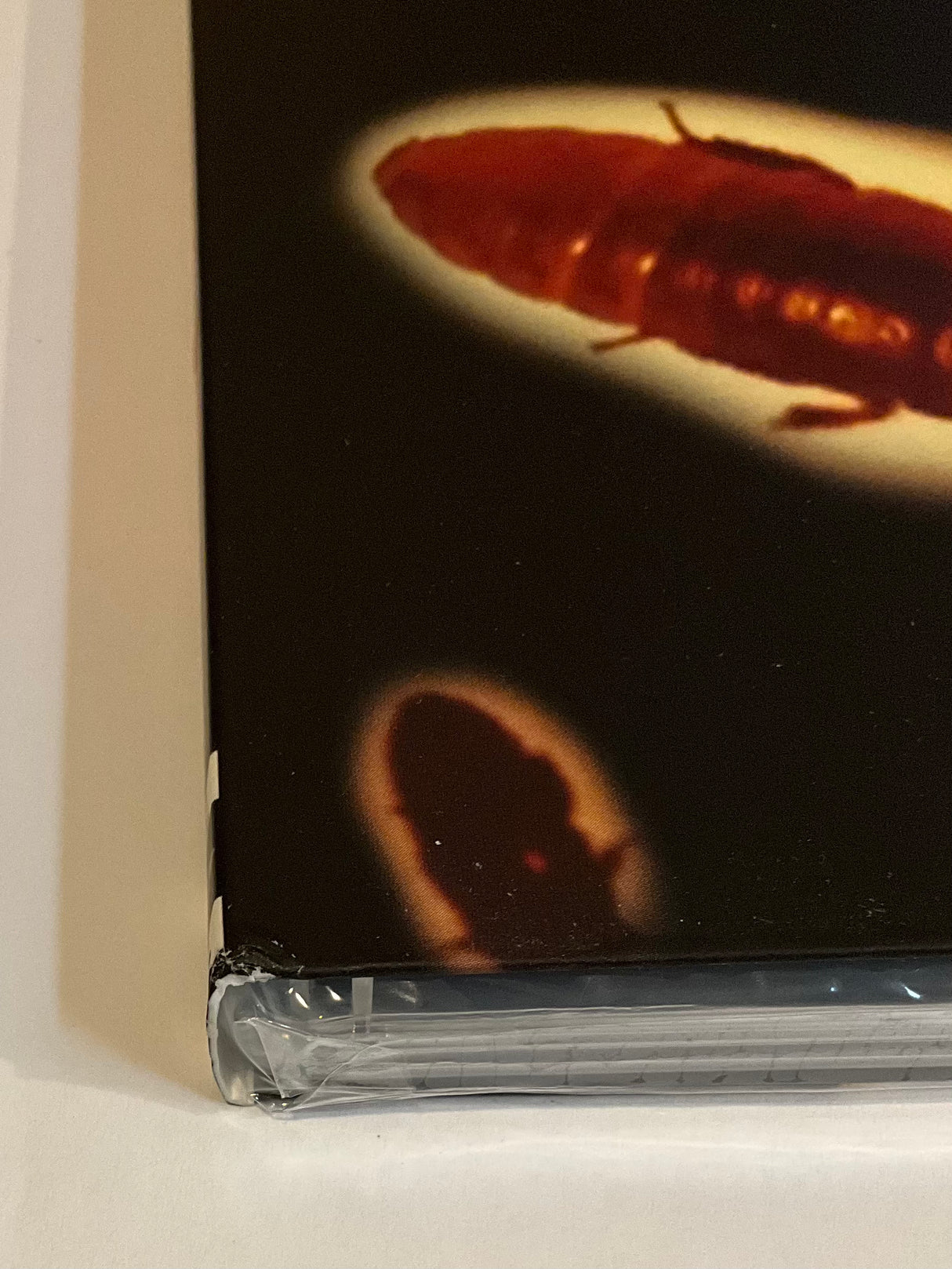 Red Cockroaches w/SLIP DAMAGED