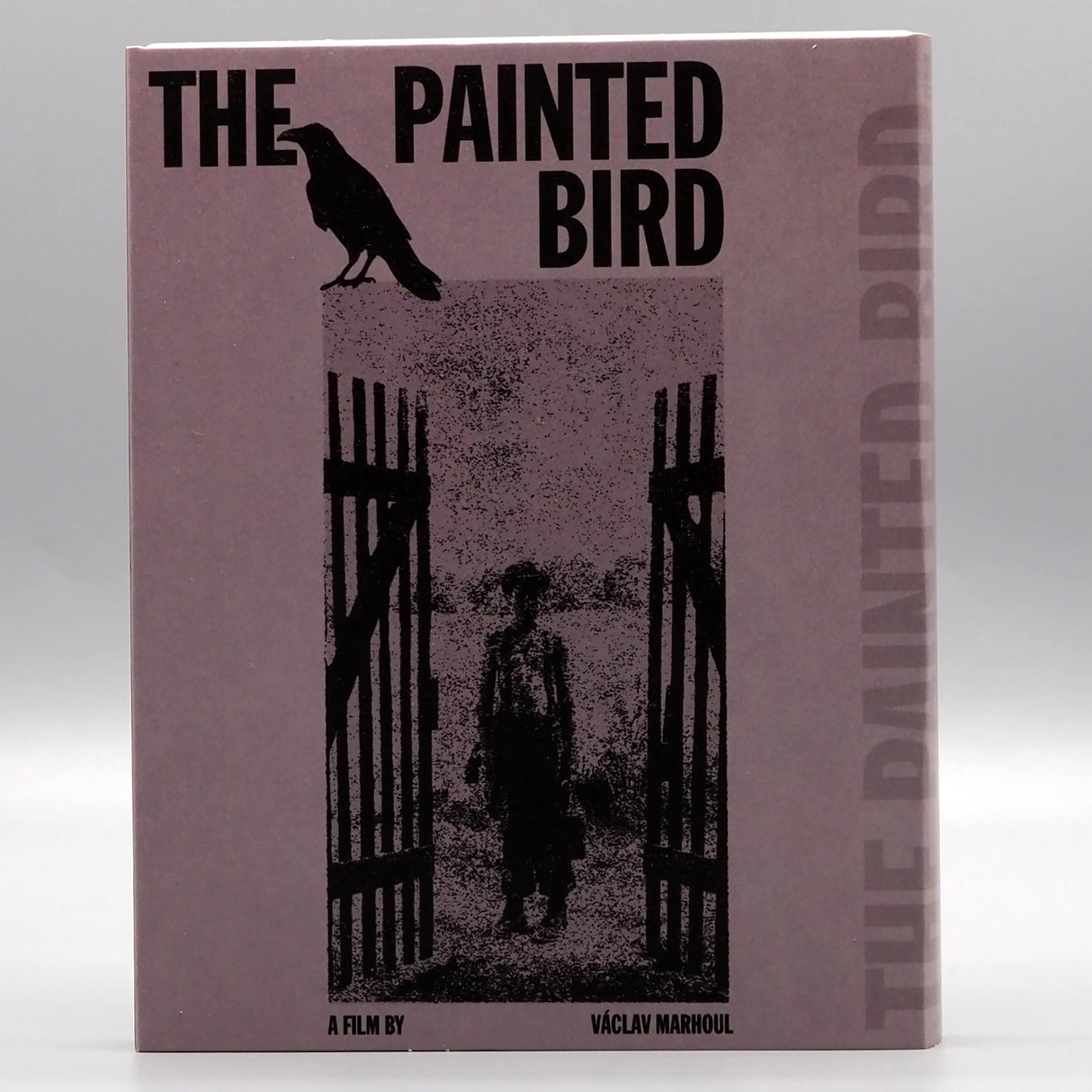 The Painted Bird w/SLIP