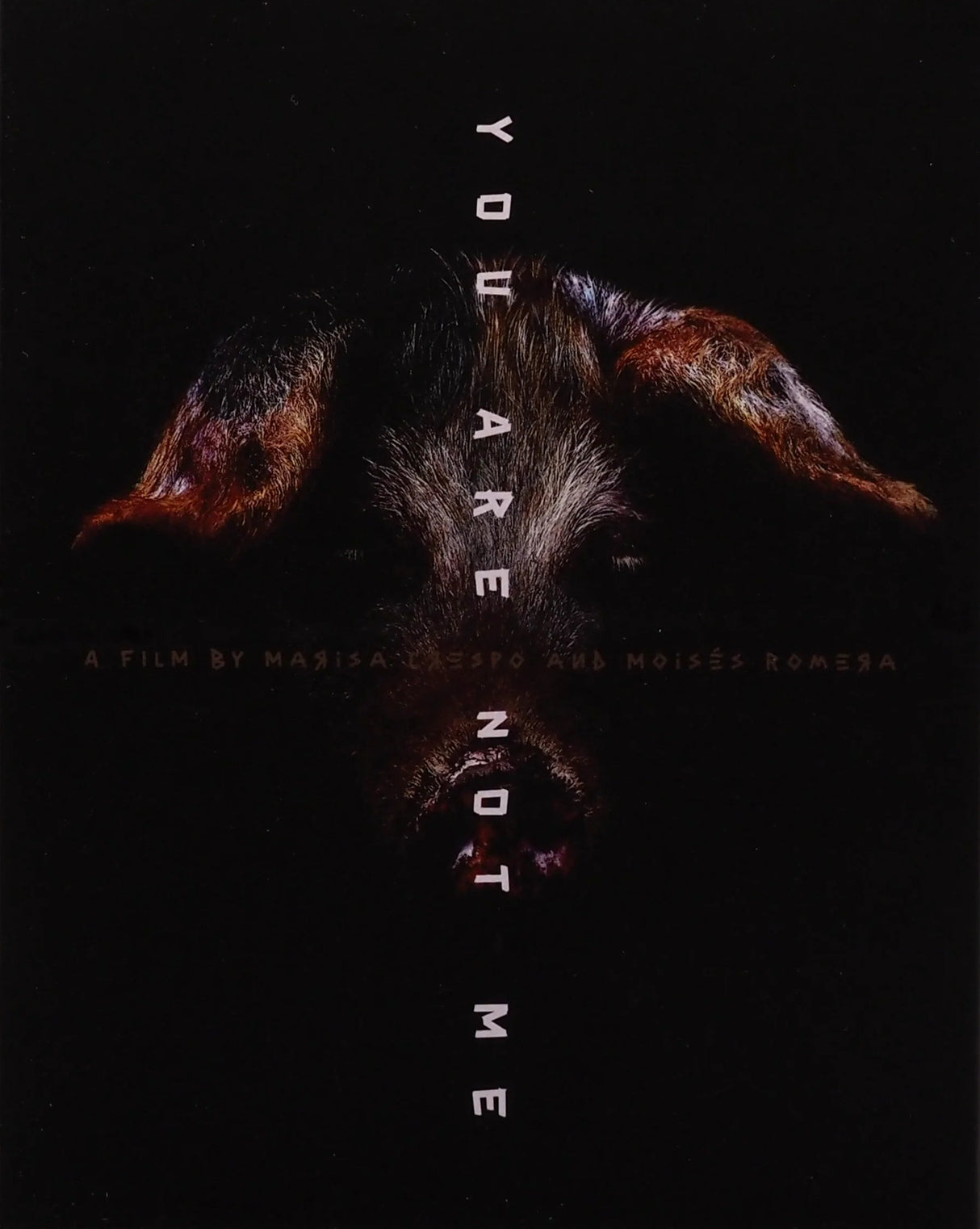 You Are Not Me w/SLIP *one per customer