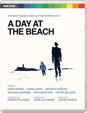 A Day at the Beach (Limited Edition)