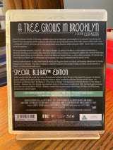 A Tree Grows In Brooklyn (Region B) w/BOOKLET USED