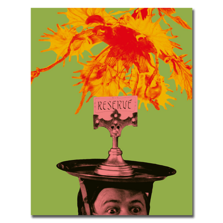 Adela Has Not Had Supper Yet (Deluxe Limited Edition) - New Blu - Ray