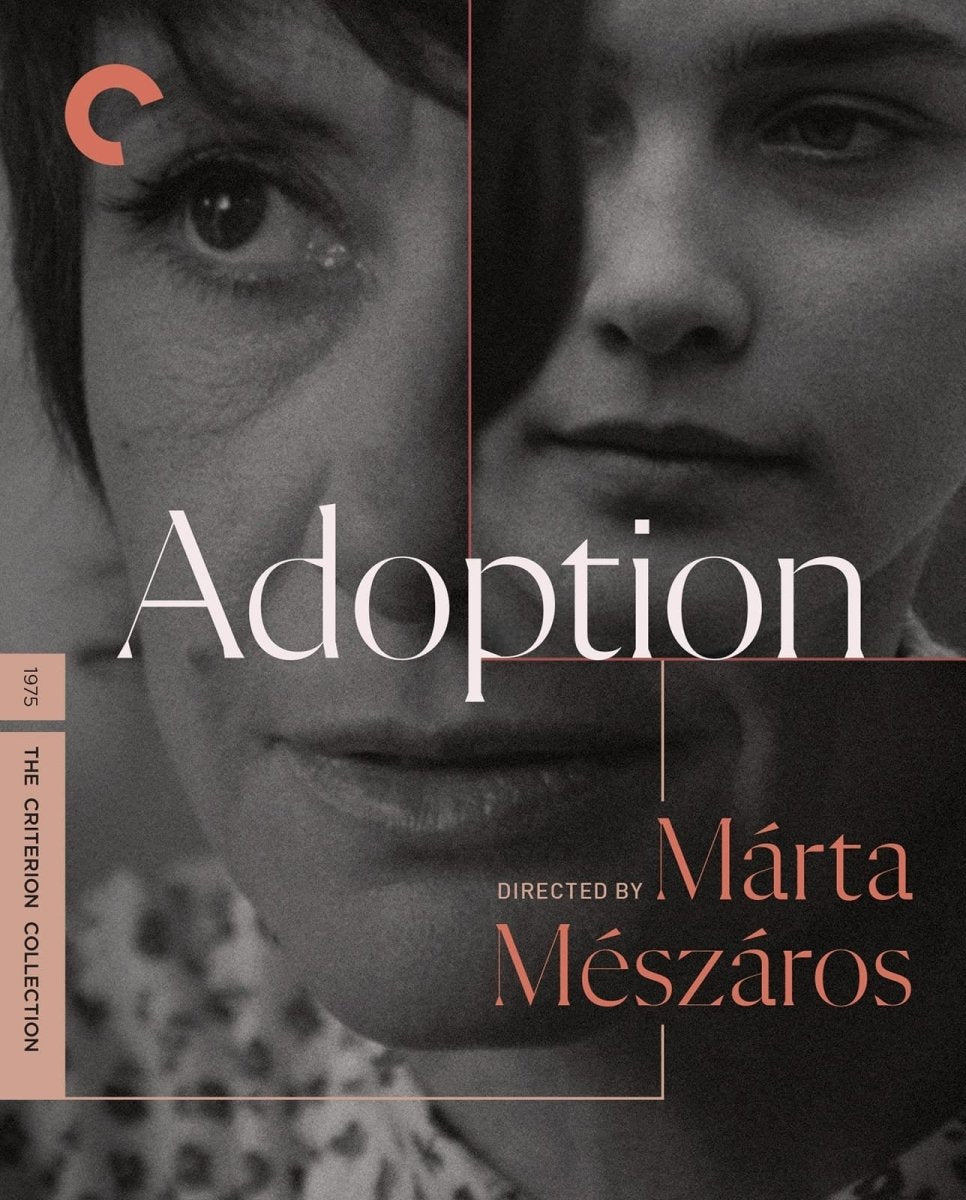 Adoption (#1115)