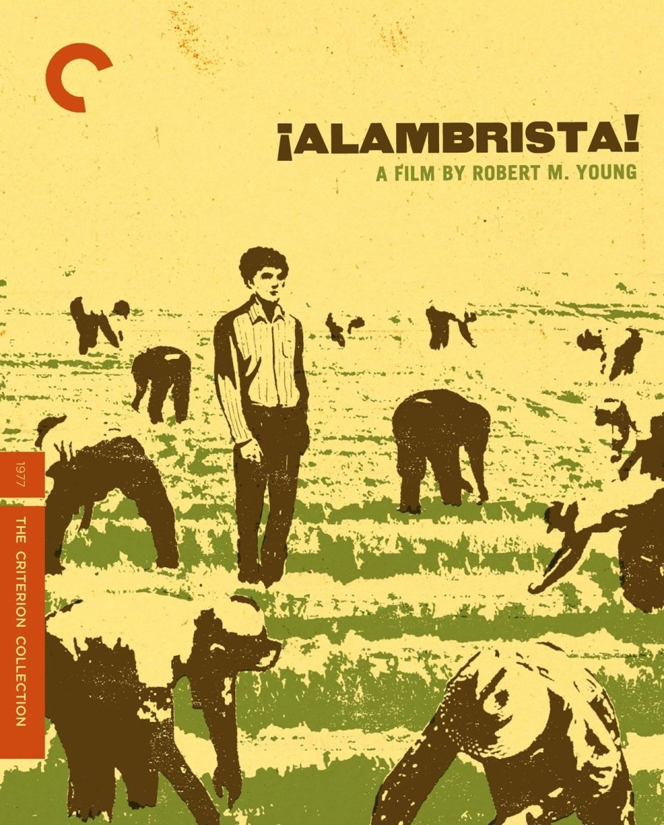 Alambrista (#609)