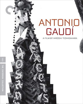 Antonio Gaudí (#425) USED