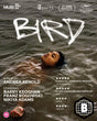 Bird (Region B) w/SLIP