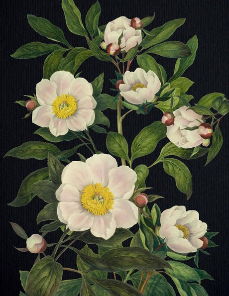 Blooming Flowers (Spot Gloss) Journal - Books