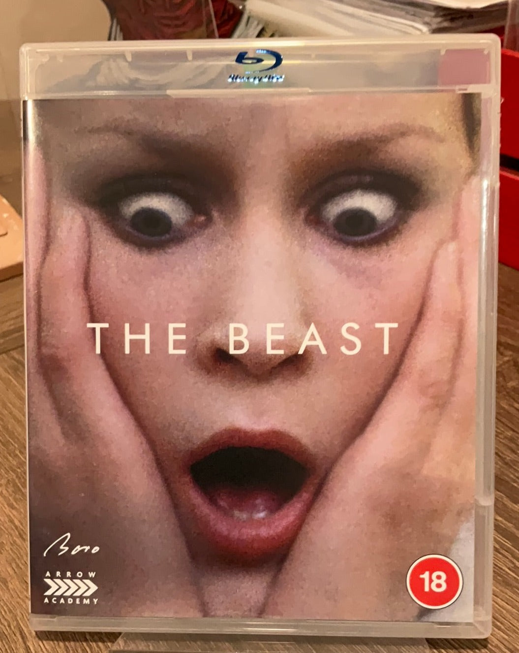 Camera Obscura: The Walerian Borowczyk Collection (REGION B) USED