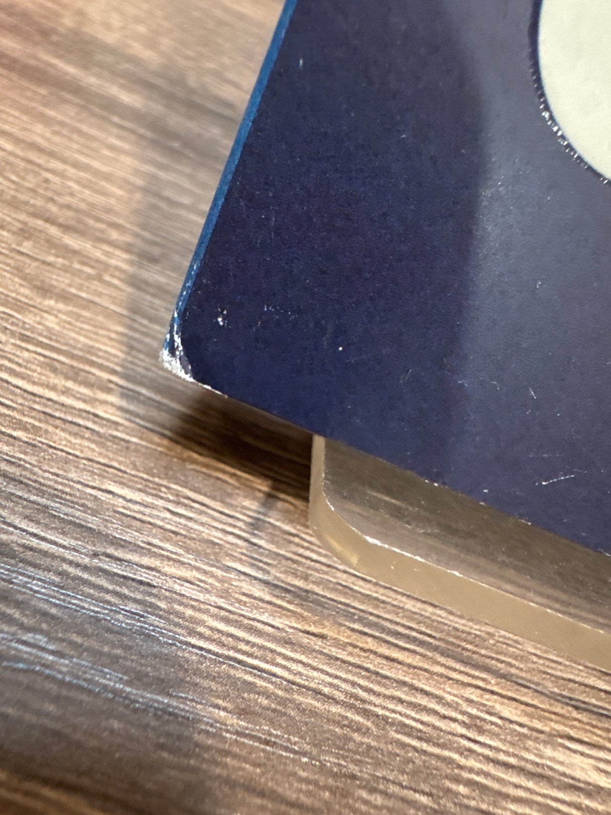 Cat City W/SLIP USED