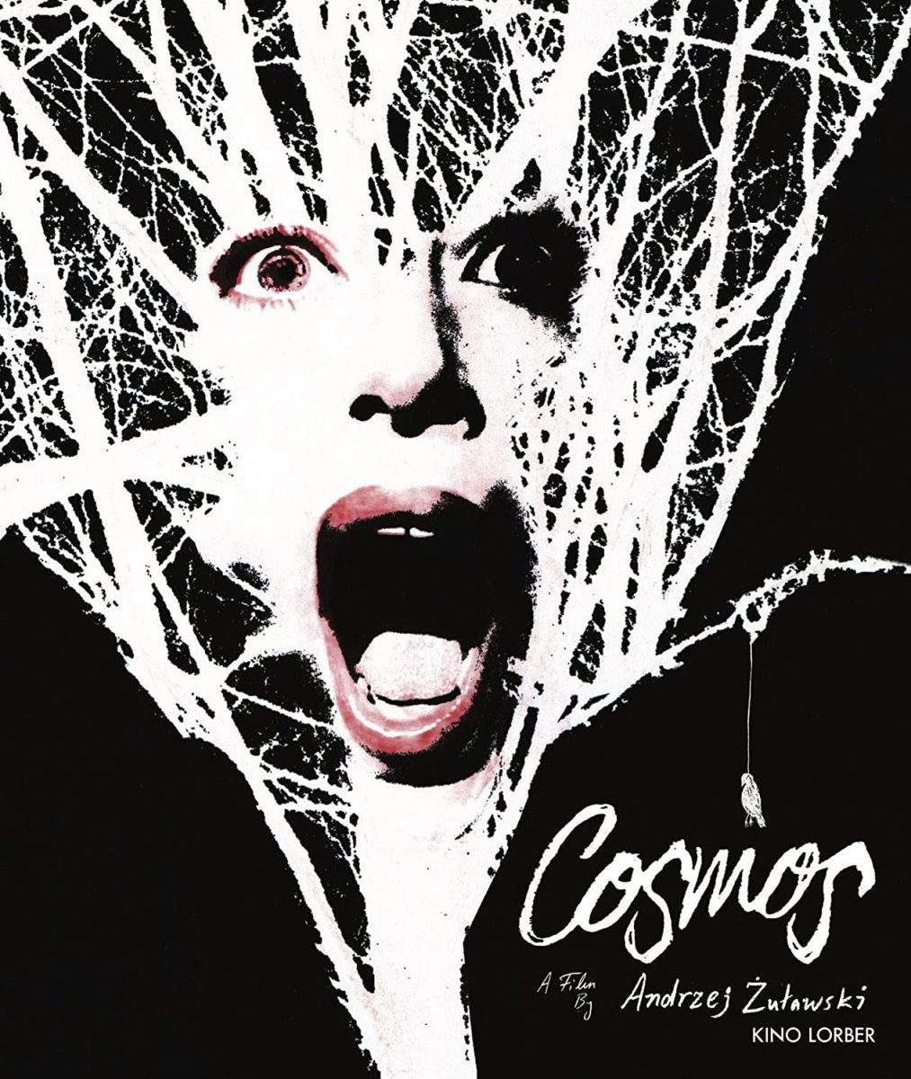 Cosmos USED