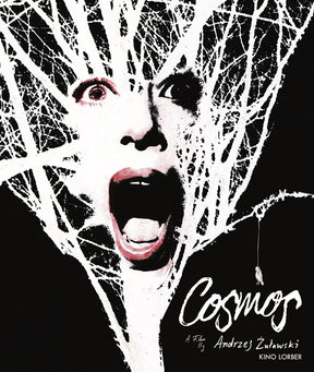Cosmos USED