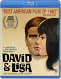 David & Lisa