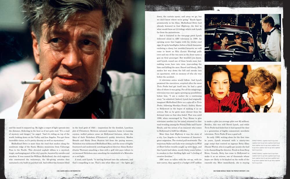 David Lynch: A Retrospective (HC) - Books