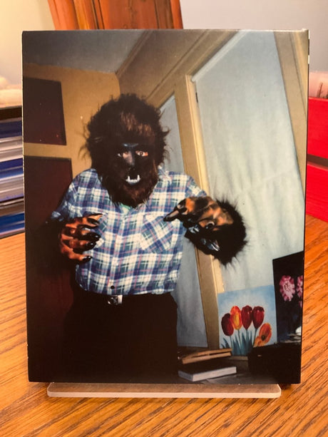 David "The Rock" Nelson Collection: Volume 1 w/SLIP USED