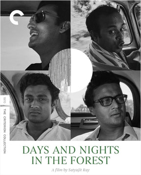 Days and Nights in the Forest (4K UHD, #1328)