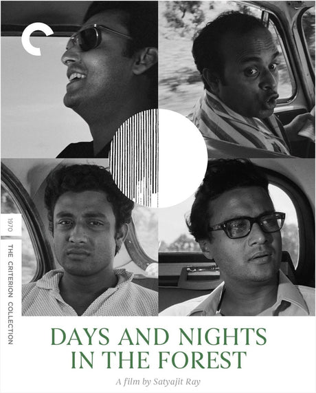 Days and Nights in the Forest (4K UHD, #1328)