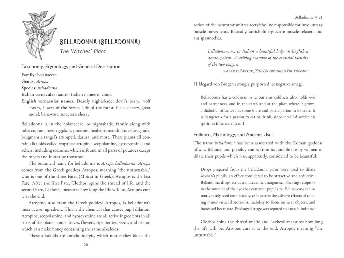 Della Medicina: The Tradition of Italian - American Folk Healing - Books