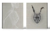 Donnie Darko (4K UHD, Limited Edition Mutant Mediabook)