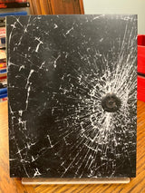 Door w/SLIP USED