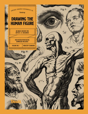 Drawing the Human Figure - Books