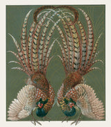 Fantastic Beasts of the Nineteenth Century - Books