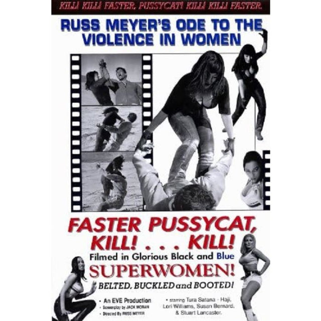 Faster Pussycat Kill Kill! Poster PICKUP ONLY - Posters/Stickers/Art