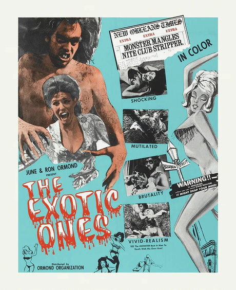 From Hollywood to Heaven: The Lost and Saved Films of the Ormond Family (US Limited Edition)