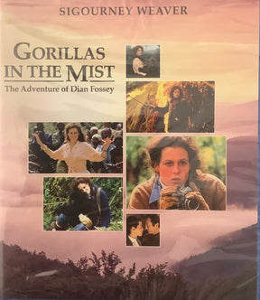 Gorillas in the Mist
